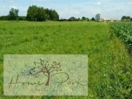 Działka, Rydzyny, Pabianice, Pabianicki, 5375 m²