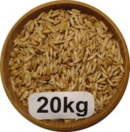 Owies Bezłuskowy, Nagi, 20kg, 2025r