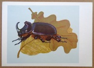 POCZTÓWKA - JERZY HEINTZE - ROHATYNIEC - grafika autorska, lata 60-te