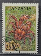 Ryby (kas) - luzak - do uzupełnień 13/8