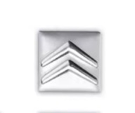 CITROEN EMBLEMAT NAKLEJKA ALUMINIUM NA KLUCZYK SAMOCHODOWY 16mm