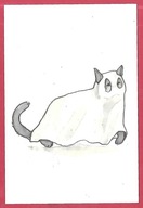 Kot kotek koty rasa harce kot w życiu człowieka pocztówka