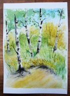 PEJZAŻ (62) dla 884 Skubalskich