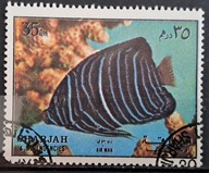 Ryby (kas) - luzak - do uzupełnień 13/3