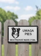 Border collie Tabliczka informacyjna uwaga pies