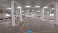Magazyny i hale, Łódź, Widzew, 710 m²