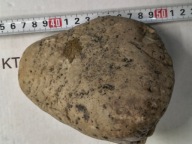 Skamieliny minerały koralowce