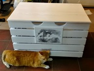 Skrzynia na zabawki, kufer na akcesoria dla kota.