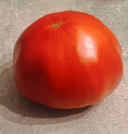 Pomidor Krasawczyk / Przystojny (491) nasiona kolekcjonerskie