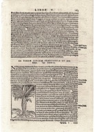 Cosmographiae, Münster, 1572, 1 karta, s. 1163-1164