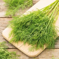 Koper Ogrodowy Sprinter średnio wczesny rozrastający się duża paczkaXXL 10g