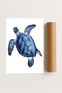 Plakat bez ram 50x70cm Błękitny pływak Ocean Ryba Natura Minimalizm Hit