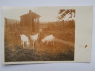 wieś dziecko kozy 1924 (1966c)