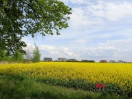 Działka, Mrowino, Rokietnica, Poznański, 959 m²