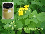 Maść z Glistnikiem Jaskółcze Ziele - Opryszczka Brodawki Przeciwzapalna