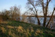 Działka, Płock, 1427 m²