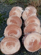 Plastry Sosny Świeże 20 szt 8–15 cm Grubość 2 cm Naturalne Drewno