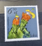 1981 fi 2641 Kwiaty sukulentów