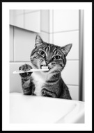 A3 CZARNO-BIAŁY PLAKAT DO ŁAZIENKI TOALETY ZABAWNY KOT MYJĄCY ZĘBY UROCZY