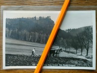 Sobieszów ul. Chałubińskiego Zamek Chojnik Konie farmer Jelenia Góra foto