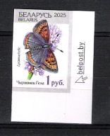 Białoruś 2025, zn. CIĘTY, Dzika Przyroda Białorusi, owady motyl modraszka
