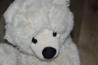 pluszak maskotka miś niedźwiadek polarny Trudi