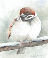 Ptak , ptaki , mazurek- akwarela z passe - partout