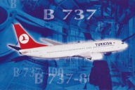SAMOLOT - BOEING 737 - TURKISH AIRLINES - TURCJA