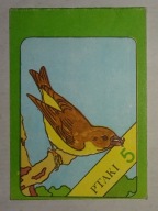 KOLOROWANKA Z PRL - PTAKI 5 - PRODRYN SOSNOWIEC