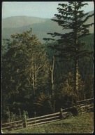 ZAWOJA 1970r. widok na BABIA GÓRA 6616