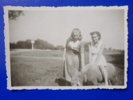 kobiety owca wieś (152)