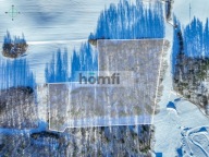 Działka, Rokity, Czarna Dąbrówka, Bytowski, 16500 m²