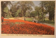 TULIP GARDENS, Ottawa, Ontario CANADA - KANADA