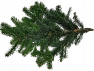 ŚWIEZEEGAŁĄZKI GAŁĘZIE CISA 30 SZTUK 30 CM BOZENARODZENIE GIRLANDY WIANKI