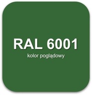 FARBA PROSZKOWA RAL 6001 Poliestrowa Zielony Szmaragdowy Gładki Połysk 1kg