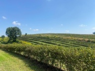 Działka, Krępa, Gołcza, Miechowski, 2497 m²