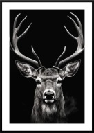A2 PLAKAT OBRAZ DOSTOJNY JELEŃ Z POROŻEM BIAŁO-CZARNY