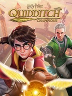 HARRY POTTER QUIDDITCH CHAMPIONS MISTRZOWIE QUIDDITCHA STEAM KLUCZ KOD PC