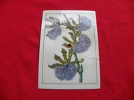 HAPPY END jak się masz kochanie POCZTÓWKA DŹWIĘKOWA rembertowicz-szymborska