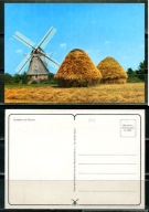 K22473)Holandia: Ruinen, Molen de Zaandplatte