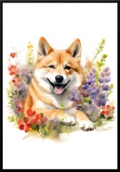A2 PLAKAT PIES W KWIATACH RASA SHIBA INU