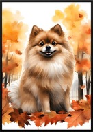 A2 59,4x42 PLAKAT OBRAZ PIES SZPIC MINIATUROWY, POMERANIAN, JESIEŃ AKWARELA