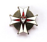 Odznaka 22 Pułk Ułanów