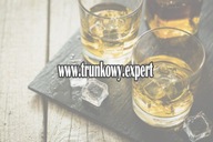 Domena Internetowa WWW.TRUNKOWY.EXPERT