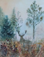 Jeleń las Akwarela Sabina Salamon 30x24