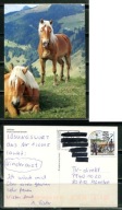 K24718)Karta Zwierzecia: Kon Haflinger, wyslany