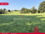 Działka, Pomlewo, Przywidz, Gdański, 5940 m²