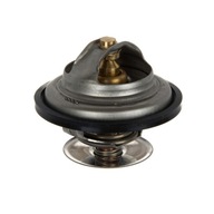 TERMOSTAT MAN CASE STEYR FENDT F824200050060