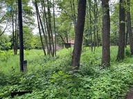 Działka, Regulice, Alwernia, Chrzanowski, 8600 m²