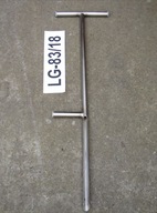 Laska glebowa (Egnera) sady, szkółki